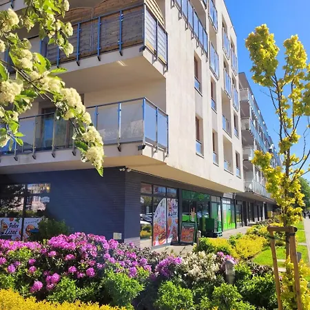 Lawendowy Relax Kolberg